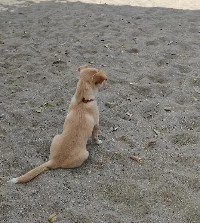 Oasis Nature * Polis