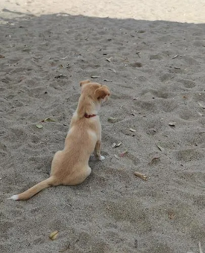 Oasis Nature * Πόλη